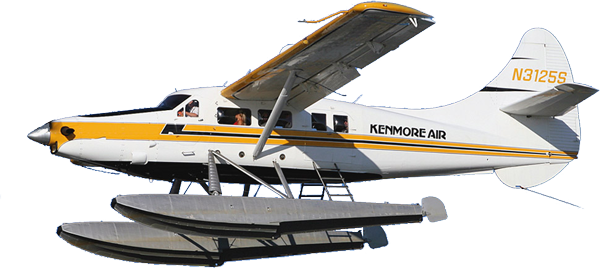 foreground-plane image foreground-plane About Us